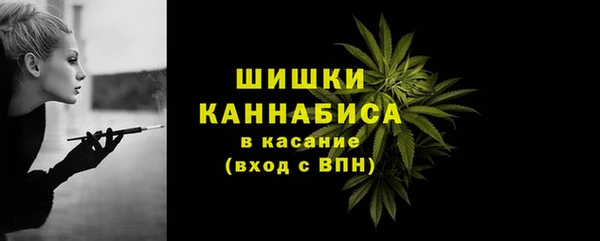 PSILOCYBIN Белоозёрский