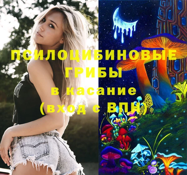 PSILOCYBIN Белоозёрский